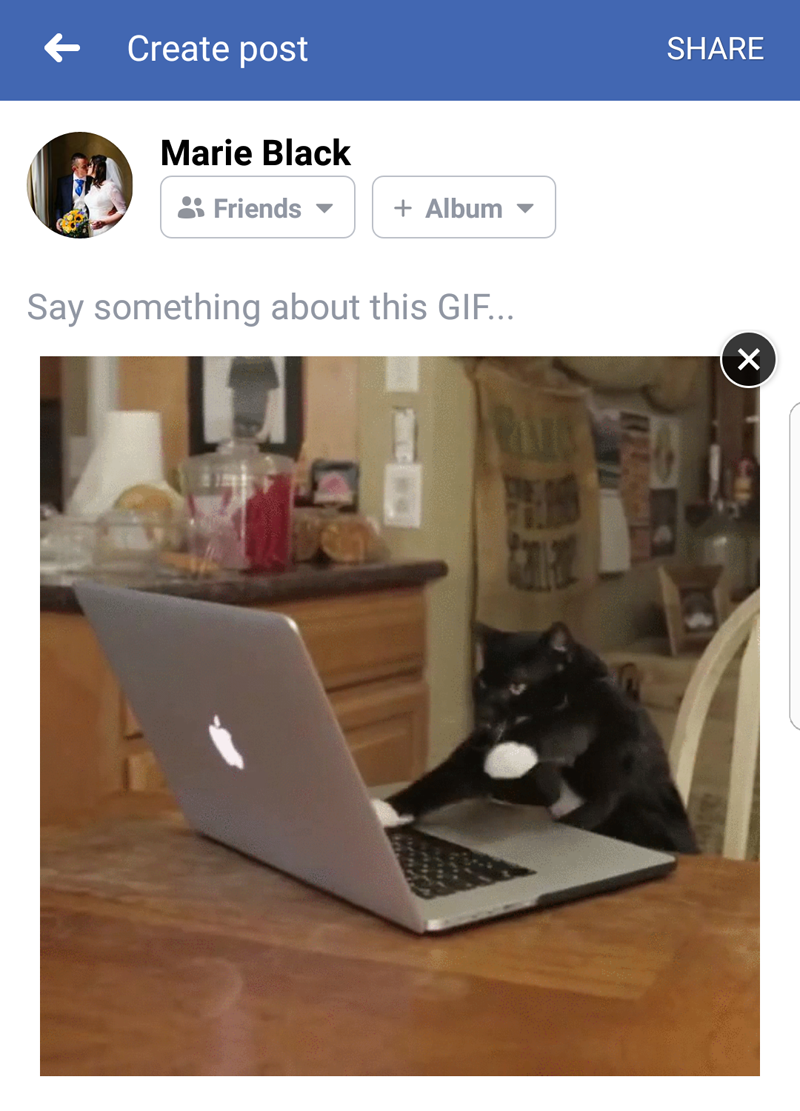 How to Post a GIF on Facebook - 55