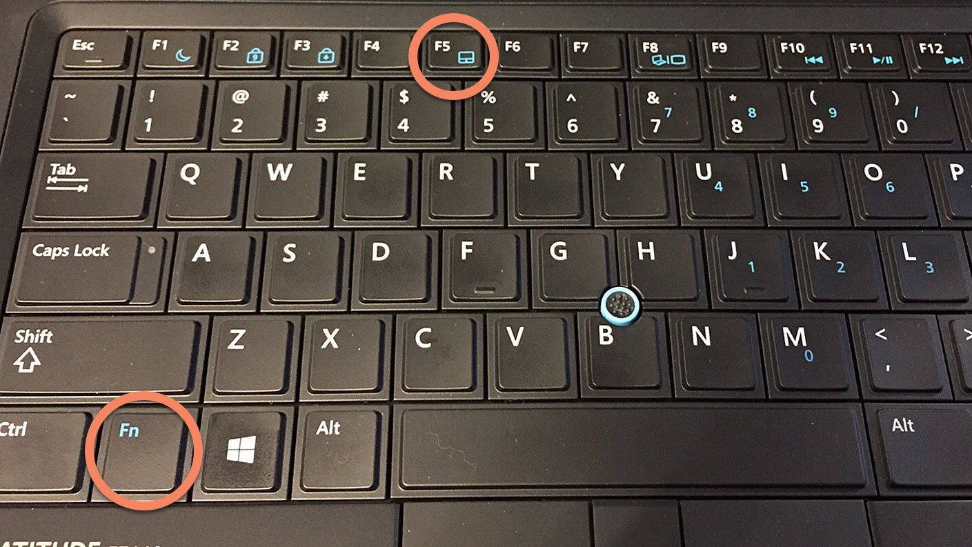 Как включить тачпад. Кнопка FN+f8. Кнопка тачпада на ноутбуке HP. Клавиша Shift на ноутбуке HP. Кнопка reset на ноутбуке HP.
