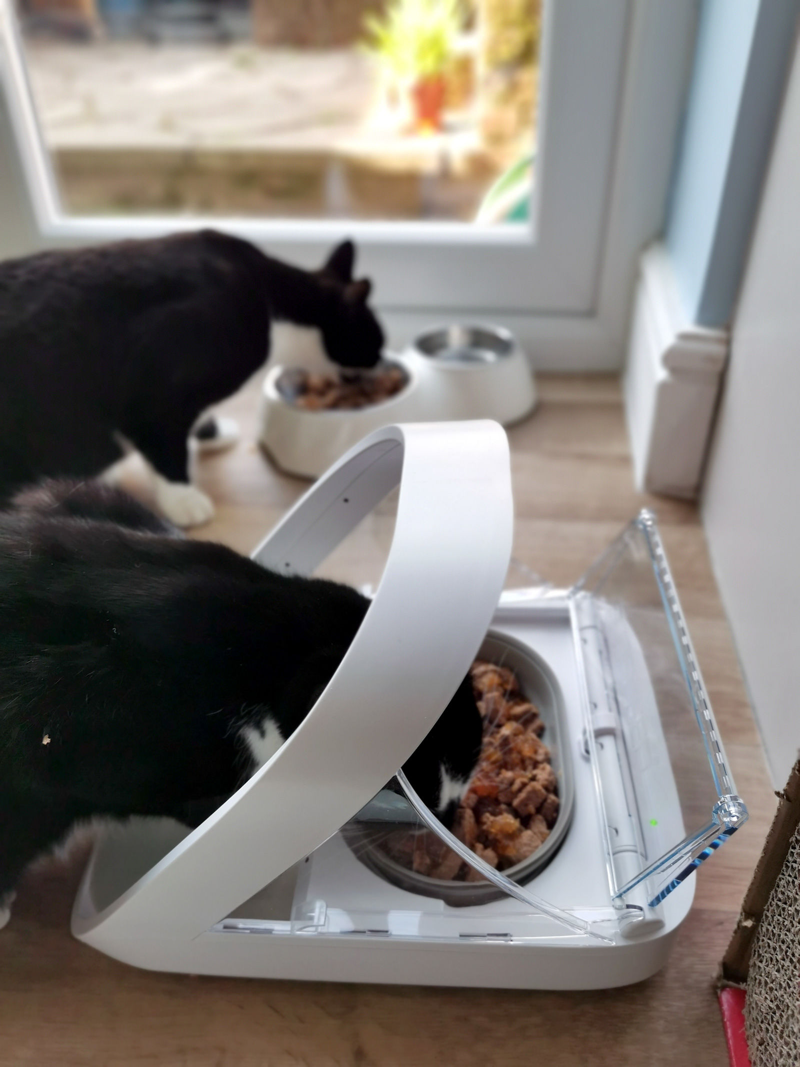 Sure Petcare Microchip Pet Feeder review - Tech Advisor